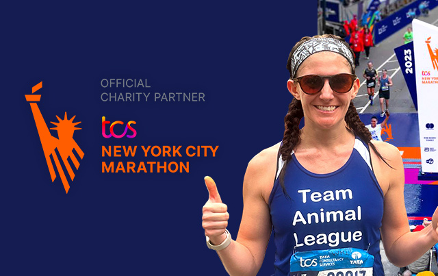 2023 TCS NYC Marathon